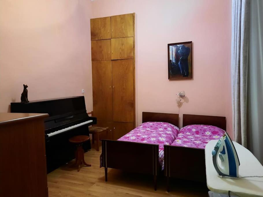 Nataly Apartament-Old Tbilisi Center Esterno foto